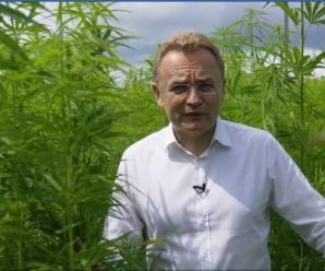 “Багато політиків вживають…”: Садовий записав ролик на тлі плантації коноплі під музику реґі (відео)