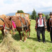 У Карпатах проведуть свято гуцульської фіри та коня