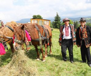 У Карпатах проведуть свято гуцульської фіри та коня
