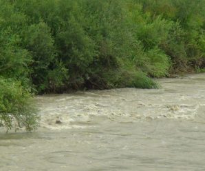 Троє малих киян застрягли посеред гірської річки: визволяли рятувальники