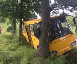 На Прикарпатті автобус з’їхав у кювет та врізався в дерево. ФОТОФАКТ
