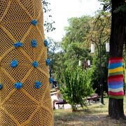 В Івано-Франківську “утеплили” дерева яскравими шарфами (ФОТО)