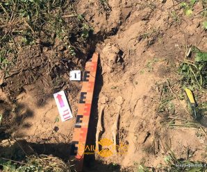 На Прикарпатті під час розкопок знайшли останки маленької дитини