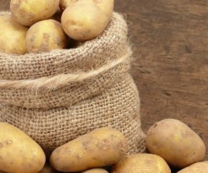 Експерт спрогнозував дефіцит картоплі в Україні