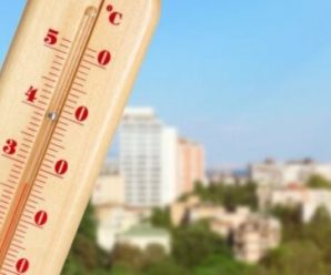 +40 – лише початок: синоптики попередили про стрімке підвищення температури повітря