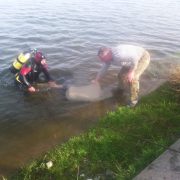 На Прикарпатті з озера витягли тіло чоловіка