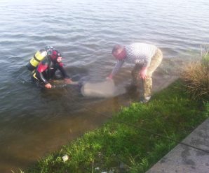 На Прикарпатті з озера витягли тіло чоловіка
