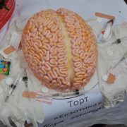 Торт-мозок і “медичні” букети: незвичну виставку влаштували студенти-медики (ФОТО)