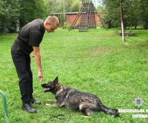 Як у Франківську живе і працює найкраща службова собака України(ВІДЕО)