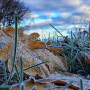 Штормове попередження: На Прикарпатті очікуються морози до -5º