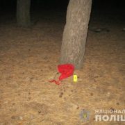 Жорстоко згвалтував і викинув: у лісосмузі знайшли понівечену жінку (фото)