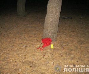 Жорстоко згвалтував і викинув: у лісосмузі знайшли понівечену жінку (фото)