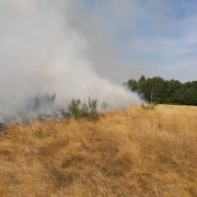 Через пожежу трави в Боднарові міг згоріти ліс