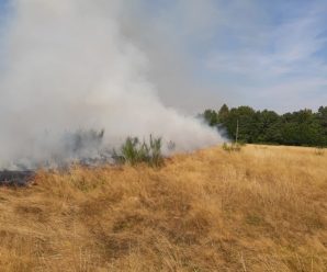 Через пожежу трави в Боднарові міг згоріти ліс