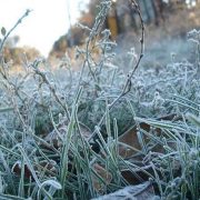 Перший сніг та заморозки: синоптики дали неочікуваний прогноз