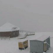 Карпати продовжує засипати лапатим снігом: відео з камер Буковелю та інших курортів