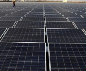 На Прикарпатті відкрили потужну сонячну електростанцію