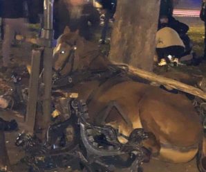 У центрі Львова коні знесли лавку на тротуарі: є потерпілі