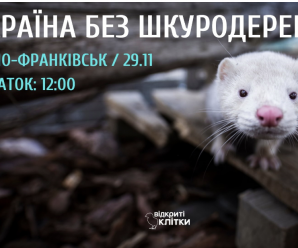 У Франківську пройде акція, щоб заборонити виробництво хутра в Україні