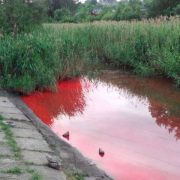 У Калуші річка стала червоною
