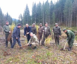 На Верховинщині бійці АТО разом з лісниками висадили молодий ліс