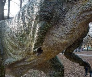 Вандалів, які понищили динозавра в парку, шукають між студентами