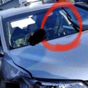 Блогер помітив “цікаву” деталь у автомобілі Toyota Миколи Кулеби, який на перехресті в смт Чабани зіштовхнувся з мікроавтобусом Volkswagen