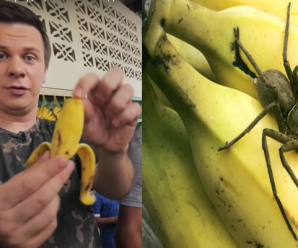 Будьте обережні: Банан може виявитись останньою їжею у житті. Діма Комаров попереджує всіх українців