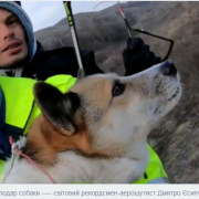 Уперше в Україні собака з притулку стала рекордсменкою України. ФОТО+ВІДЕО
