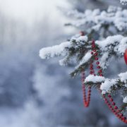 На Новий рік різко зміниться: синоптик розповіла про шокуючий прогноз погоди