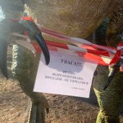 Акт вандалізму: п’яні військові понищили скульптуру динозавра у міському парку (ФОТО)