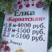 У Сімферополі продають ялинки з Івано-Франківщини: фото