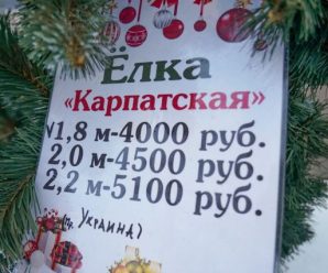 У Сімферополі продають ялинки з Івано-Франківщини: фото