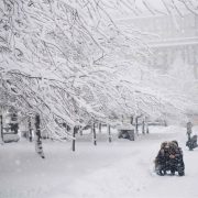 “Пекучі морози до -39 і сильні вітри”: Синоптики ошелешили прогнозом погоди на січень