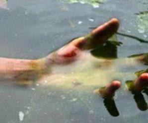 У річці на Прикарпатті знайшли тіло чоловіка