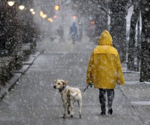 Дощі, мокрий сніг та ожеледиця: погода в Україні на вихідні