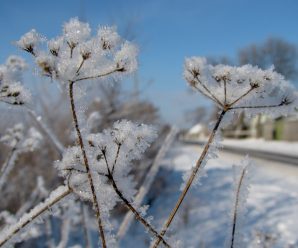 Без снігу, але з морозами: синоптики прогнозують аномальну зиму