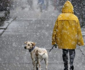 На Україну насувається потужний циклон з мокрим снігом та шквальним вітром