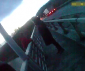 Вагітна жінка хотіла зістрибнути з моста: у Вінниці поліцейські врятували її. Неймовірне відео
