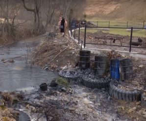 У річку на Франківщині вилилася тонна нафтопродуктів – під загрозою водопостачання. ВІДЕО