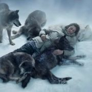 Вагітна жінка потрапила в аварію і могла замерзнути від страшного холоду, але її врятували вовки!