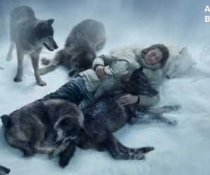 Вагітна жінка потрапила в аварію і могла замерзнути від страшного холоду, але її врятували вовки!
