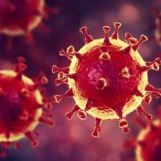 Вчені заявили, що коронавірус мутував і ослаб