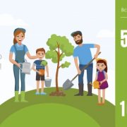 В Україні за день висадять 5 млн дерев. Прикарпатців кличуть долучитися до акції