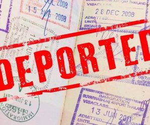 Від початку року з Прикарпаття депортували 22 іноземців