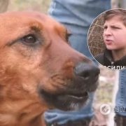 Ризикував життям: з’явилося показове відео порятунку собаки підлітком на Львівщині