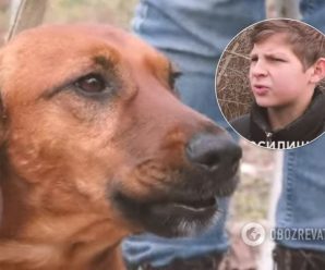 Ризикував життям: з’явилося показове відео порятунку собаки підлітком на Львівщині