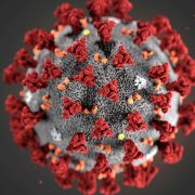 На Прикарпатті вже 41 підтверджений випадок коронавірусу, в Україні – 418