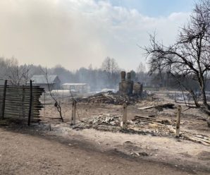 На Житомирщині вигоріло 4 тисячі гектарів лісу і десятки будинків, проводиться евакуація (відео)