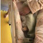 Київська клініка продавала новонароджених малюків за кордон під прикриттям сурогатного материнства (фото)